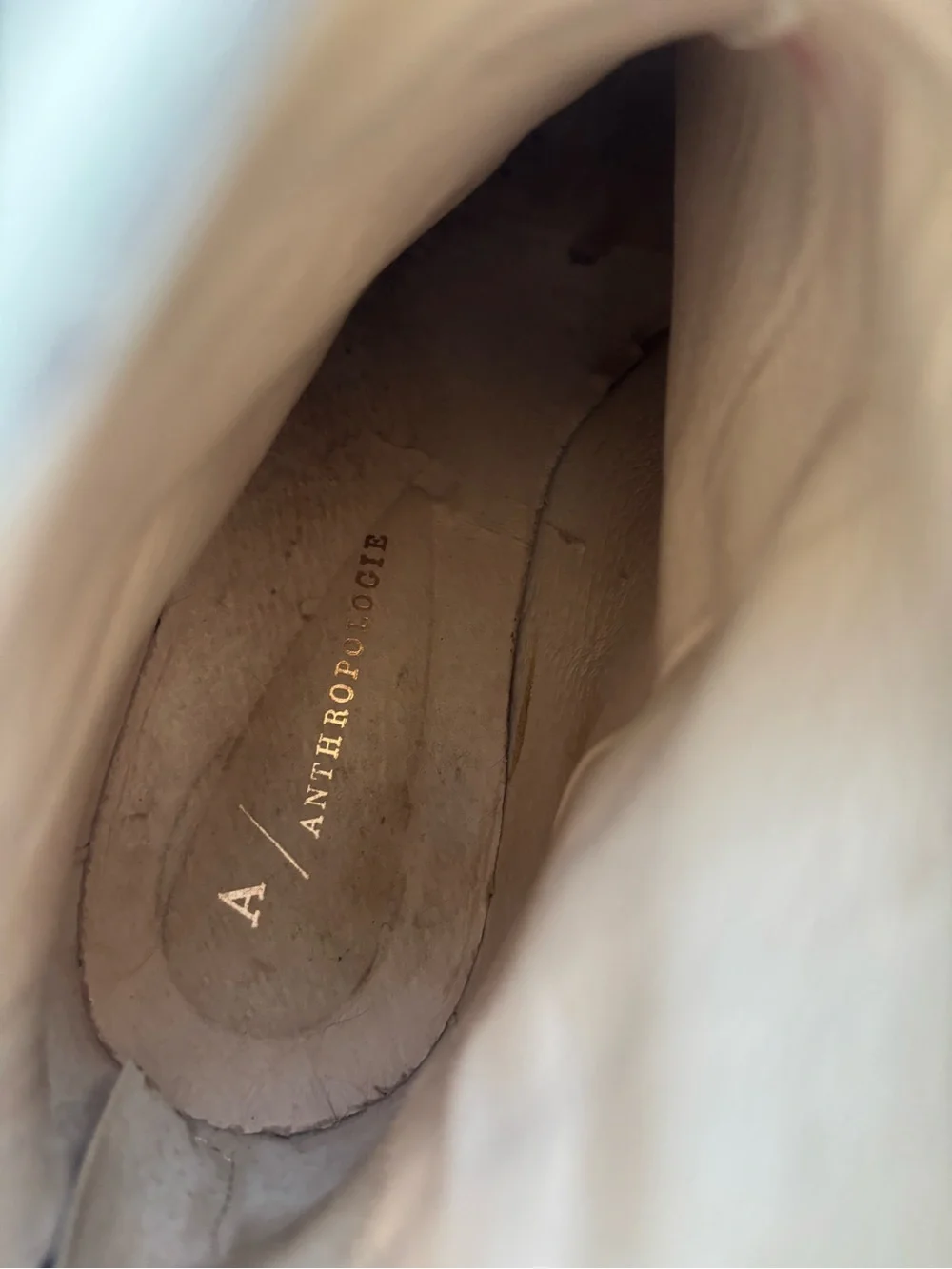 Anthropologie house line